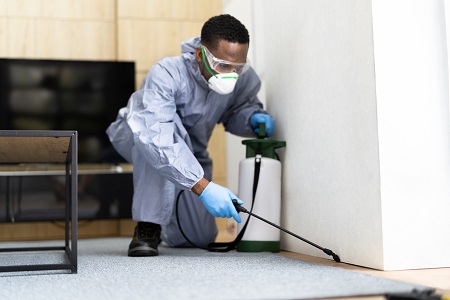 BnB Cleaning