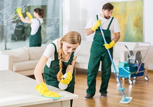 Carpet Cleaning Before and After