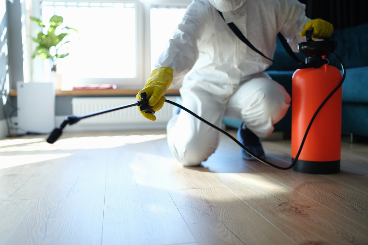 Pest Control Video Review