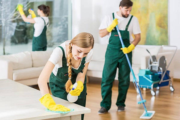 House Cleaning Video Review